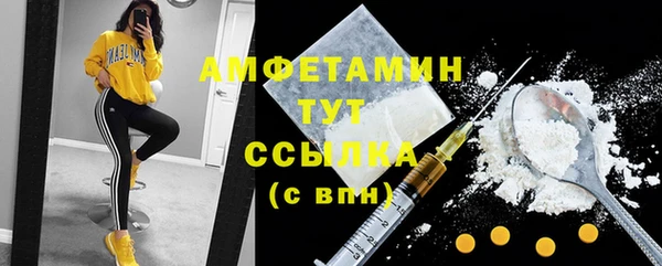 PSILOCYBIN Пересвет